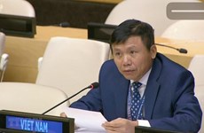 Вьетнам призывает к полному запрету ядерных испытаний