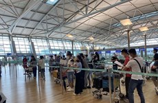 Более 250 вьетнамских граждан были доставлены на родину из РК