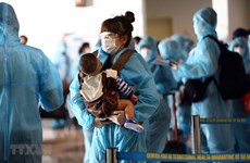 Более 220 вьетнамских граждан были благополучно доставлены на родину из Японии