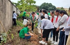 Кампания по посадке 4.000 деревьев для озеленения Ханоя 