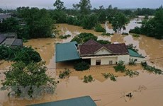 Вьетнамцы в Чехии и Польше собирают средства для помощи пострадавшим от наводнения