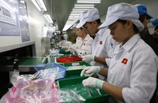 Standard Chartered прогнозирует рост Вьетнама в 2020 году на уровне 3% 