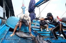 АСЕАН Today: Вьетнам активно прилагает усилия в борьбе с незаконным рыболовством