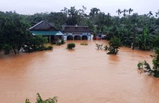 Создано 7 рабочих групп по ликвидации последствий наводнения