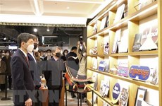 Павильон культуры и туризма АСЕАН открылся в Сеуле