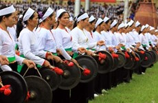 В Тханьхоа пройдет 2-й фестиваль этнической культуры Мыонг