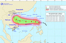 Прибрежные центральные населенные пункты призвали к активному реагированию на тайфун “Вамко”