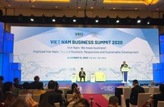 Состоялся Вьетнамский бизнес-саммит 2020 