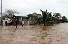 ВБ: Вьетнам должен принять срочные меры перед лицом стихийных бедствий 