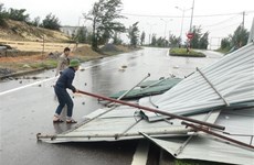 Ураган “Вамко” сеет хаос в центральных населенных пунктах