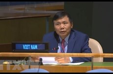 Вьетнам призывает положить конец односторонним принудительным мерам