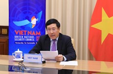 Вьетнам выдвинул предложения по укреплению сотрудничества между ООН и Африканским союзом