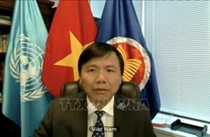 Вьетнам подвел итоги работы Комитета АСЕАН за 2020 год в Нью-Йорке