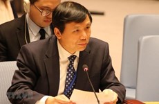 Генеральная Ассамблея ООН приняла первую резолюцию по инициативе Вьетнама