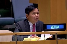 Вьетнам председательствует на периодическом заседании Неофициальной рабочей группы СБ ООН по международным трибуналам