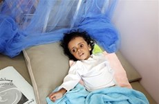 Вьетнам призывает объединить усилия для предотвращения голода в Йемене