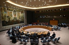 СБ ООН прекращает мандат смешанной операции ООН и Африканского союза в Дарфуре