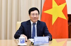Дипломатические усилия подтверждают позиции Вьетнама на международной арене 