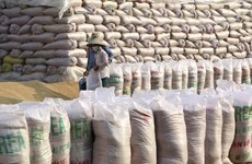 Вьетнам импортирует индийский дробленый рис