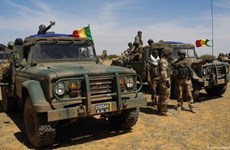 Вьетнам осуждает нападения на мирных жителей в Западной Африке и Сахеле