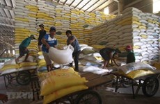 Вьетнам экспортирует 1.600 тонн риса по высокой цене в Сингапур и Малайзию