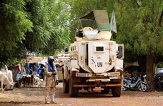 Вьетнам поддерживает комплексный подход к решению проблем в Мали