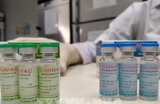 Эпидемия COVID-19: вакцина Covivac разработана на основе нового штамма SARS-CoV-2