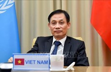Вьетнам добился огромного дипломатического успеха в качестве члена СБ ООН