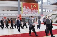 XIII съезд КПВ: Веб-сайт Stratfor: XIII съезд является фактором, обеспечивающим политическую стабильность Вьетнама