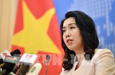 МИД: Страны должны уважать суверенитет Вьетнама в Восточном море 