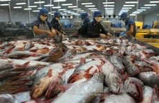 Камбоджа возобновил импорт выращенной рыбы из Вьетнама
