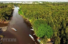 Новое планирование рассматривает изменение климата как возможность для дельты Меконга