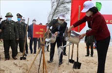 Вице-президент запустила кампанию “Тэт посадки деревьев в вечную благодарность Дядюшке Хо”