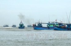 Бариа-Вунгтау ужесточит меры против незаконного рыболовства в иностранных водах
