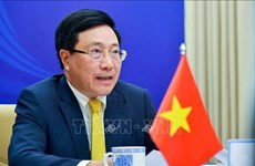 Неофициальная встреча министров иностранных дел стран АСЕАН: Вьетнам сотрудничает с другими странами в борьбе с эпидемией