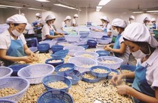 США - крупнейший импортер сельскохозяйственной, лесной и рыбной продукции Вьетнама в январе-феврале