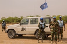 Вьетнам и Совет Безопасности ООН: Вьетнам призывает ускорить реализацию переходного процесса в Южном Судане