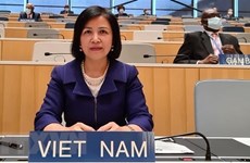 Вьетнам подчеркивает достижения детей и продвижение прав ЛОВЗ
