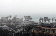 Куангнгай: для десяти бедных семей построят устойчивое к шторму жилье