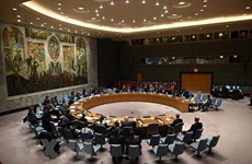 Вьетнам и Индия проводят двусторонние консультации по вопросам Совета Безопасности ООН