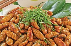 Вьетнам получил разрешение на экспорт продуктов питания на основе насекомых в ЕС