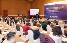 CPTPP способствует развитию торговых связей Вьетнама и Канады