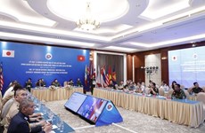 Вьетнам и Япония сопредседатели 14-го заседания РГЭ по миротворческим операциям