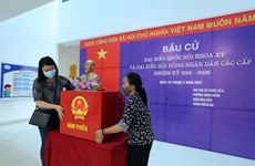 Посол Китая высоко оценивает подготовку к выборам во Вьетнаме