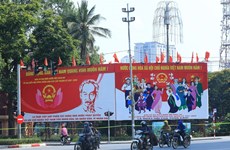Всеобщие выборы: эксперты по Юго-Восточной Азии: Вьетнам - яркое пятно с точки зрения разнообразия и баланса в составе депута