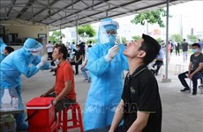 Вьетнам зарегистрировал 56 случаев заражения COVID-19 внутри страны