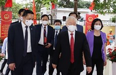 Японские СМИ освещают выборы в Национальное собрание во Вьетнаме