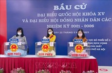Международные СМИ освещают всеобщие выборы во Вьетнаме