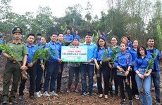 Опубликование специального отчета «Вьетнамская молодежь действует ради борьбы с изменением климата»