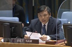 Вьетнам председательствует на заседании Неофициальной рабочей группы СБ ООН по международным трибуналам